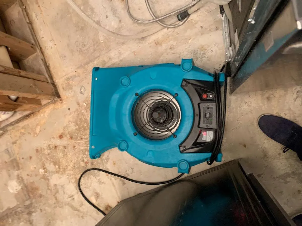 Air mover drying equipment for Mold Remediation & Removal in Bethany